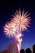 Feu d'Artifice 07
