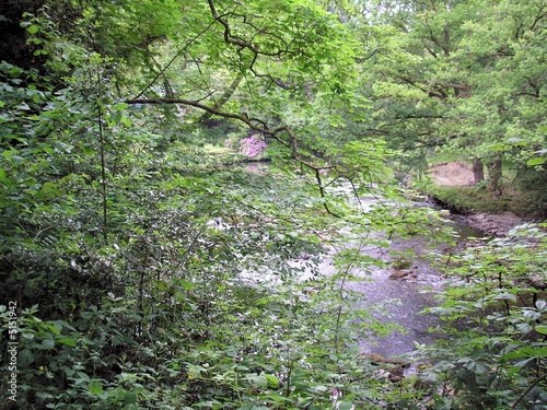 Photo: Woodland River Woodland River