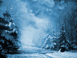 Snow-covered evergreens Snow-covered evergreens