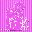 Katze
