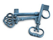 old keys in blue tones against white