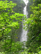 Guadeloupe Chute d'eau Guadeloupe Chute d'eau