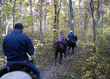 Along the Ozark Trail