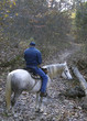 On the Trail