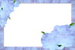 textile wedding border - blue
