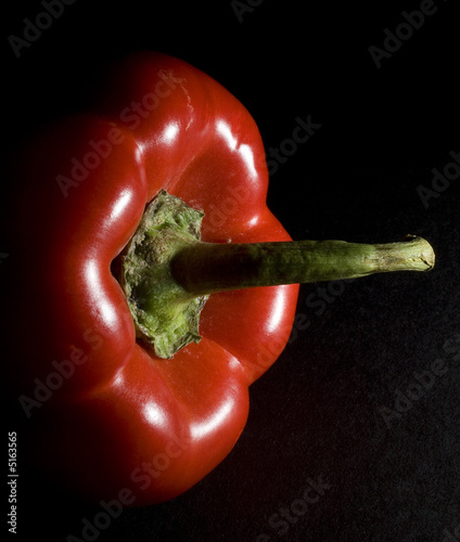 Foto: red bell pepper red bell pepper