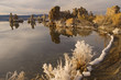 Salted Shoreline Mono Lake