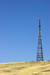 cell mast