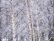 winter 1 winter 1
