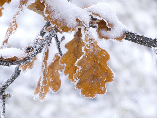 winter 2 winter 2
