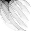 soft gray curves