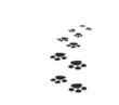 Traces