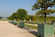 citronniers au chateau de Versailles