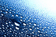 Blue drops Blue drops
