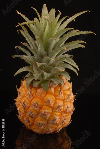 ananas