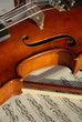 Violine
