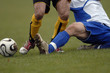 foot