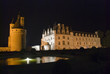 Fountain and Chateau Chenonceau at night.