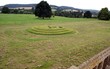 smily face in field.design/art/decoration. 