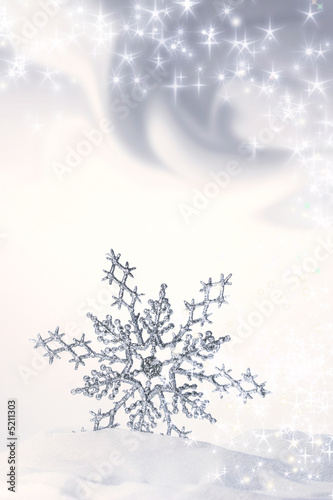 Snowflake in the snow