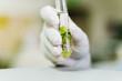 Hand in glove holding a test tube with plant 
