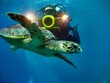 Carretta Schildkröte mit Taucher