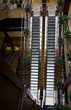 Long Double Escalator