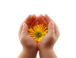 Sun in the kid's hand
