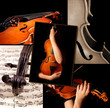 This is a violin themed collage