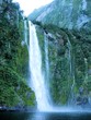 Wasserfall am Milford Sound Wasserfall am Milford Sound