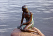 Lonely mermaid, Copenhagen, Denmark Lonely mermaid, Copenhagen, Denmark