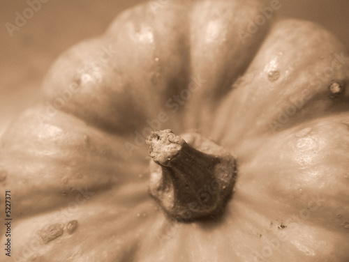 Photo: vintage pumpkin vintage pumpkin