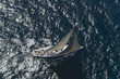 Sailboat