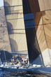 Sailboat and Crew During Race