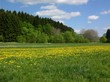 Frühling im Westerwald Frühling im Westerwald