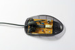 Inside of the PC mouse 