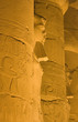 Particolare tempio luxor