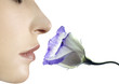 Blumenduft