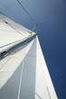 Sailboat mast and sail, low angle view