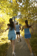 Joggers on Wooded Path