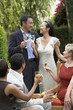 friends toasting with drinks in garden