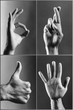Hand Signals