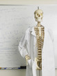 Skeleton in Front of Whiteboard in Classroom