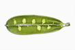 Open pea pod with peas attached inside, close-up