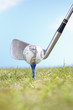 Golf club hitting golf ball with hundred-dollar logo on tee, close-up