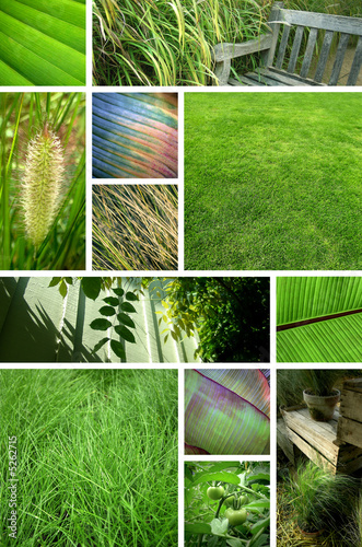 jardin jardin