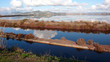 miroir natuel à Giens