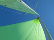 VOILE
