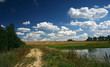 summer landscape