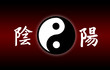 YinYang symbol YinYang symbol